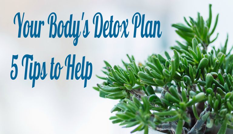 Your Body’s Detox Plan and 5 Tips to Help