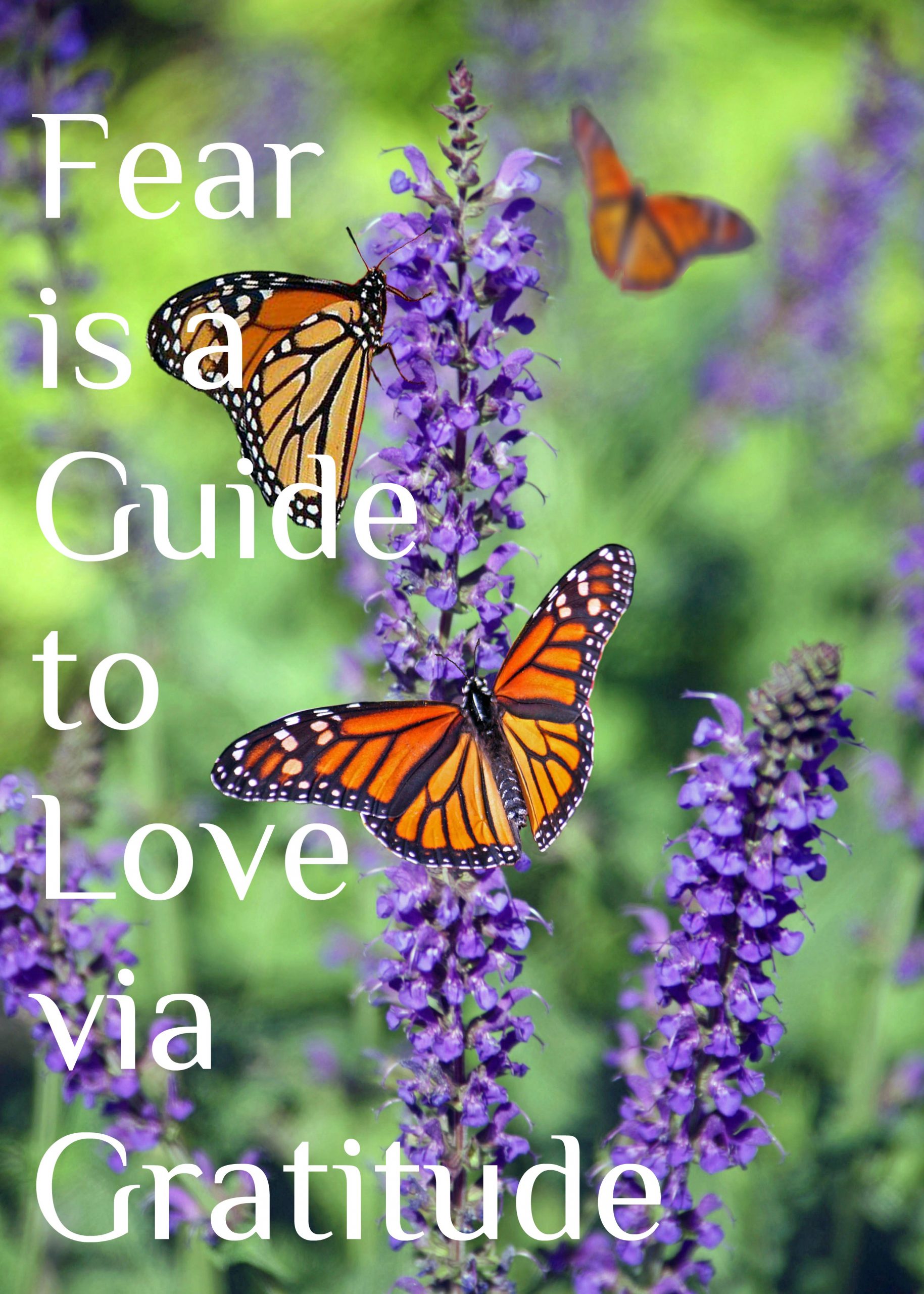 Fear is a guide to love via gratitude